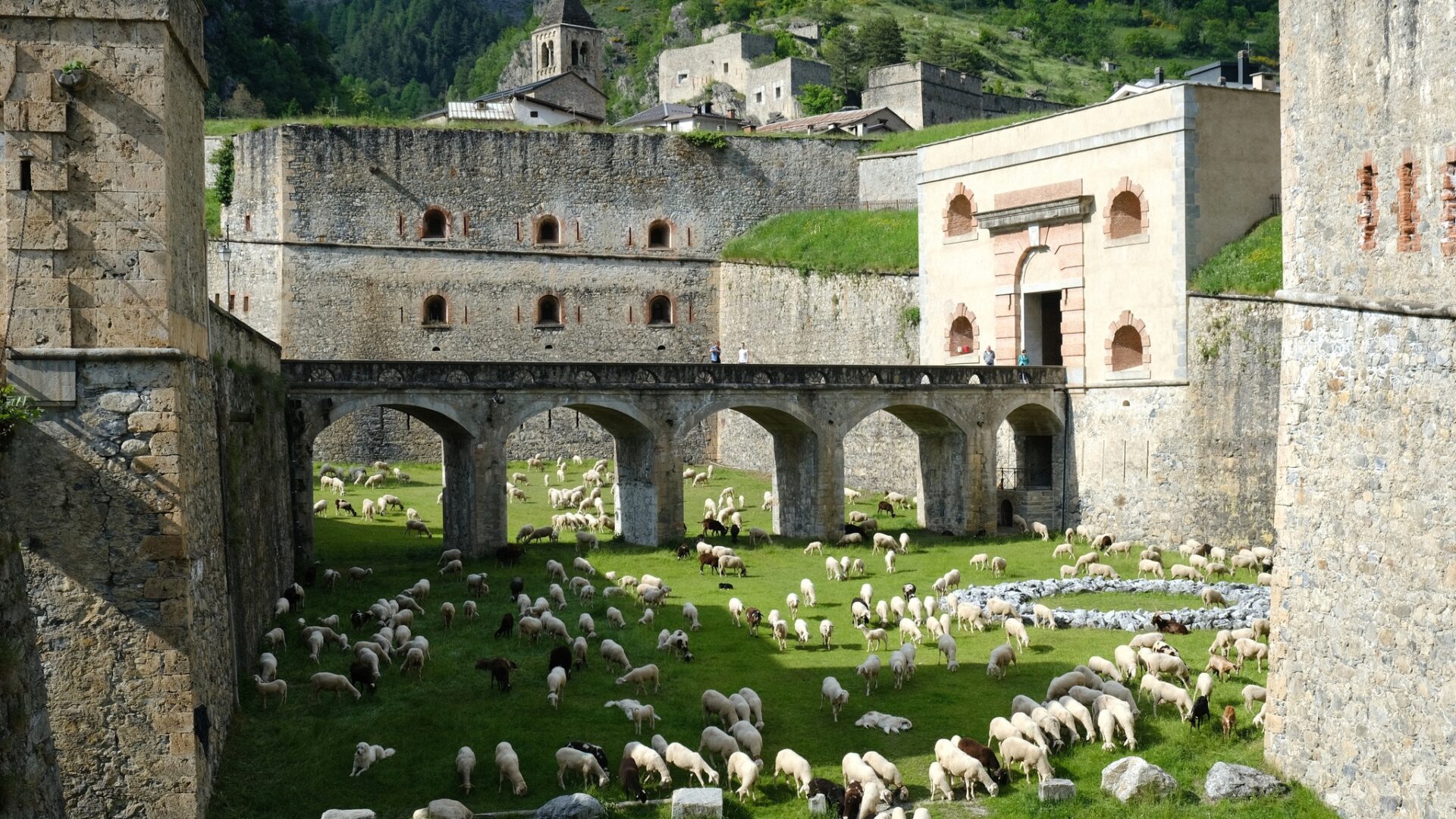 Fondazione Artea